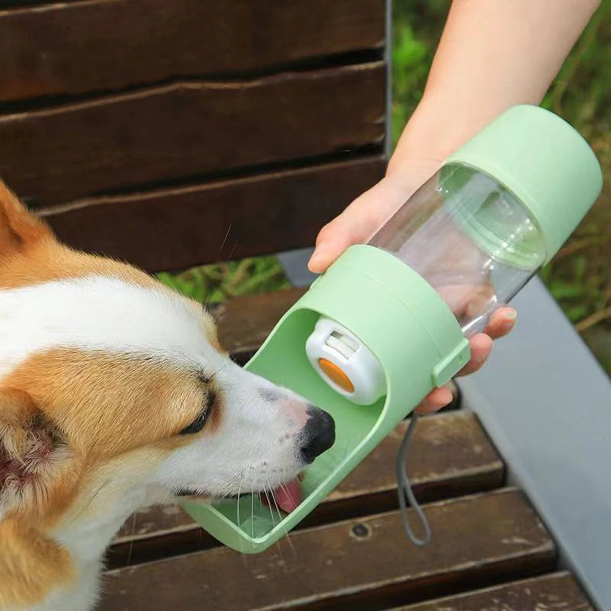 NOLUVA Travel™ – Gourde 2-en-1 pour chien